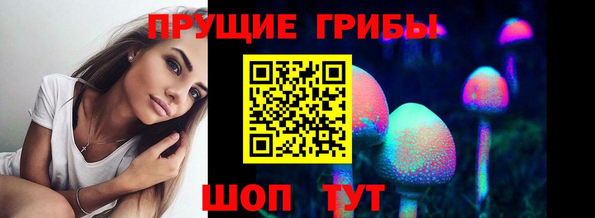 Псилоцибиновые грибы Cubensis  Вход с VPN  Севастополь 